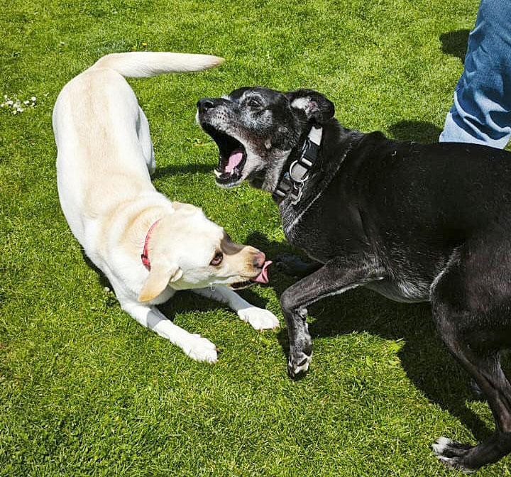 Sozialkontaktstunde (gemischt)